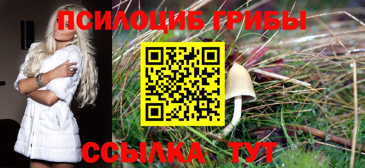 Галлюциногенные грибы Psilocybine cubensis Ростов Великий