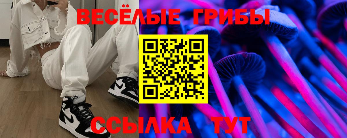 купить  цена  Псилоцибиновые грибы Cubensis  Ростов Великий  Вход с VPN  Галлюциногенные грибы Psilocybe 